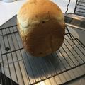 しげその's cooksnap of when they made レーズンいっぱい★蜂蜜レーズンパン.