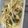 クックUL8OCM☆'s cooksnap of when they made もやし中華サラダ.