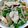 クックYBE1WN☆'s cooksnap of when they made 簡単！舞茸の白だし肉炒め.