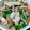 クックYBE1WN☆'s cooksnap of when they made 簡単！舞茸の白だし肉炒め.