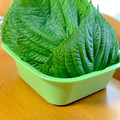 かにゃにゃmama's cooksnap of when they made えごまの保存方法.