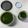 クック航海長's cooksnap of when they made プロが教える　本格ジェノベーゼ.