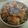 ★みさきんぐ★'s cooksnap of when they made ☆生姜香る☆アサリの炊き込みご飯.