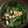 inLondon's cooksnap of when they made パクチー入り！ブリのお刺身カルパッチョ！.