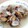 しゃちまるる's cooksnap of when they made 渥美の母直伝。あさりの酒蒸し.