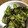 まっちゃの台所's cooksnap of when they made なすときゅうりのさっぱり塩昆布和え.