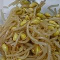くにぴゆりぴのマミー's cooksnap of when they made 豆もやしの金ごまナムル.