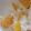３びきのこブタ's cooksnap of when they made 昔なつかし牛乳寒☆.