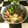 ★サンセット★'s cooksnap of when they made 厚揚げと茄子の揚げだし.