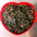 Firanzea's cooksnap of when they made ダシガラの鰹節と昆布で⭐ふりかけ.