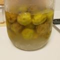 花よりおはぎ's cooksnap of when they made 我が家の梅ジュース.