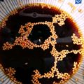 piro0707's cooksnap of when they made チヂミのタレ.