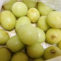 ｍａｍａｒａｄｅ's cooksnap of when they made 葡萄冷凍保存《おやつ、デザートに》.
