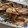 めいたんのママ's cooksnap of when they made 簡単すぎる！焼かない生姜焼き.