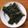 クックS3PCDO☆'s cooksnap of when they made 宮城の郷土料理♪『しそ巻き』.