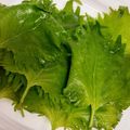 あっきー5296's cooksnap of when they made しおれた大葉を復活＆保存法.