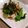 ねずみんパラダイス's cooksnap of when they made 小松菜のチーズしらす和え.