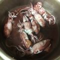 xyzクック's cooksnap of when they made あっさり、ひいかの煮つけ.