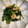 ねーこねこ's cooksnap of when they made 空心菜とエビ炒め.