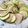 solapapa's cooksnap of when they made 豚バラと夏野菜のミルフィーユ.