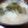 ﾋﾟﾛﾐ♡'s cooksnap of when they made 今日の味噌汁☆じゃがいも、ワカメ.