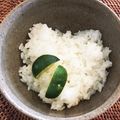 Amiko☆'s cooksnap of when they made すだちご飯（かぼすご飯）お弁当に♪.