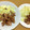 しし座ペンダント's cooksnap of when they made 簡単！豚こま肉の生姜焼き.