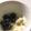 ringer193's cooksnap of when they made 豆腐みるくアイス（生クリーム・卵不使用）.