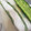 クックZVL9NR☆'s cooksnap of when they made ゴーヤーを長持ちさせましょ.
