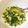 白飯大好き's cooksnap of when they made 簡単で美味しい♪万能ねぎ塩だれ♡.