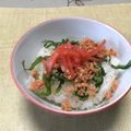 明日の風☆'s cooksnap of when they made 鮭フレークご飯.