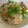 ＃Yuzu＃'s cooksnap of when they made 早うま！そうめんチャンプルー.