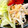 atomog's cooksnap of when they made 簡単 ツナごぼうサラダ.