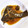 ☆☆☆saya's cooksnap of when they made 簡単♡カレイの煮付け.
