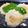 辰夫女子's cooksnap of when they made 白ゴーヤの肉詰めスープ（苦瓜封湯）.