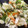 ＋SUN3's cooksnap of when they made さつま揚げとピーマンの塩昆布炒め.