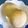 カロリナ★'s cooksnap of when they made 豆乳白パン.