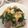 y☆109's cooksnap of when they made 基本のニラ玉.
