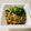 azbjbn's cooksnap of when they made 毎日の納豆●すりごまたっぷり.