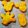 co☆Disney's cooksnap of when they made 米粉のかぼちゃクッキー.