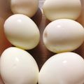 こゆりんねこ's cooksnap of when they made 勝率９０％！半熟卵❤カラの剥き方.