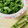 ankotetu's cooksnap of when they made ケールの簡単な処理と切り方.