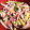 ceylon_woo's cooksnap of when they made イカとエリンのギガーリック炒め.