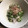 もぐとっぽ's cooksnap of when they made 【龍愛】オクラと紫玉ねぎのおかか和え.
