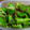 kumako230's cooksnap of when they made 万願寺とうがらしとじゃこの炒め煮.