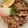 niko2chama's cooksnap of when they made 塩豚おろしぶっかけうどん.