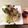 horseland's cooksnap of when they made キャベツとちりめんじゃこの美味しいサラダ.