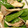 RimoRaso's cooksnap of when they made しめじとししとうのレンチン煮浸し.