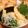I♡BOY's cooksnap of when they made 炭酸水♡カラッと天ぷら♬*゜.