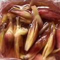 ちよこれいと♡'s cooksnap of when they made 簡単、さっぱり！ミョウガの甘酢漬け.